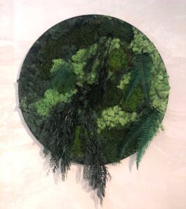 Vang bregne mos ramme